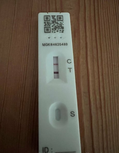 sulis minerva estrella de alta calidad recopilación