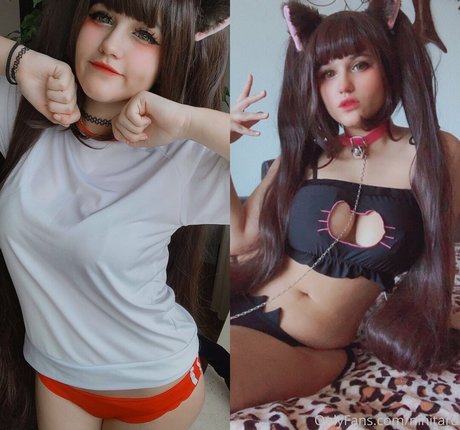 Niniibear estrella libre imagen