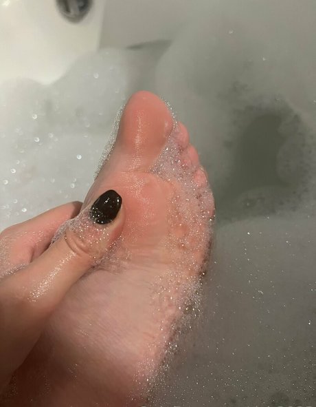 dsb2022 modelo superior galerías