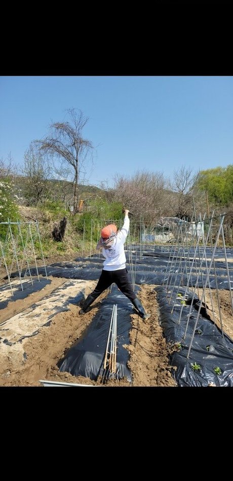 Yuggie TV estrella sexy galería