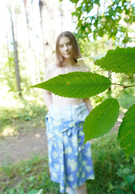 acrylickatequinn free arte modelo archivo