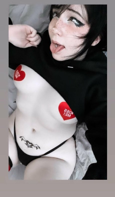 Logan 3x3 Fotoaufnahmen