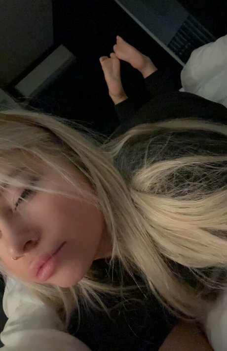 Decadex Fotoaufnahmen