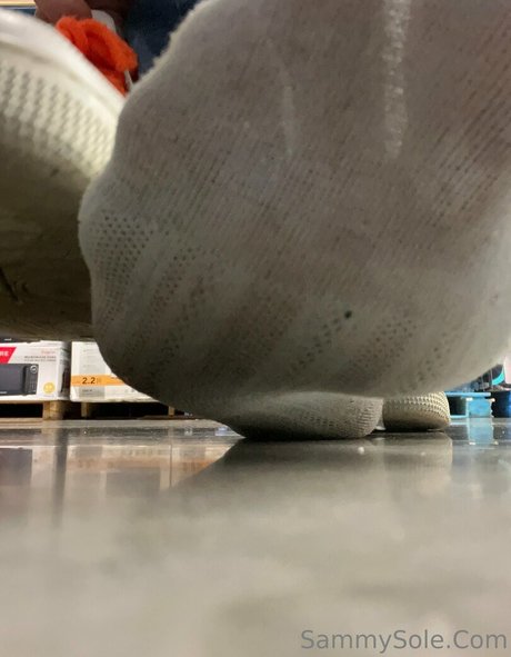 sammysole estrella hd galerías