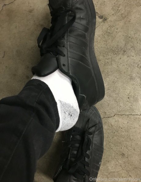 sammysole estrella de alta calidad archivo