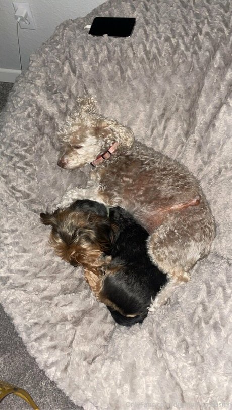 dramamamaasmr estrella sexy recopilación