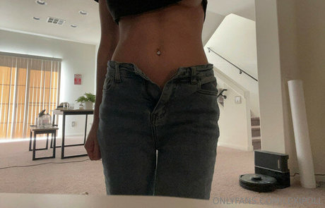 Lexipoll modelo hd imagen