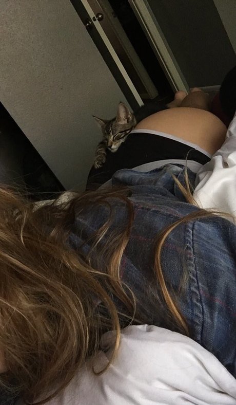 Novaleesi estrella adulta galerías