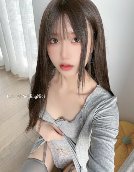 Puddingnice modelo superior foto