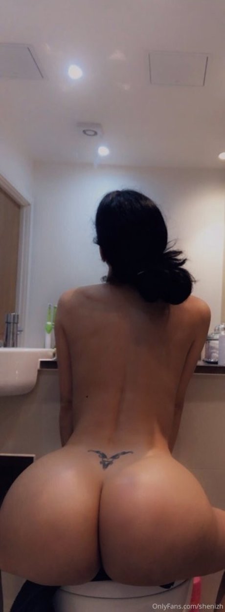 Shenizh modelo atractivo imágenes