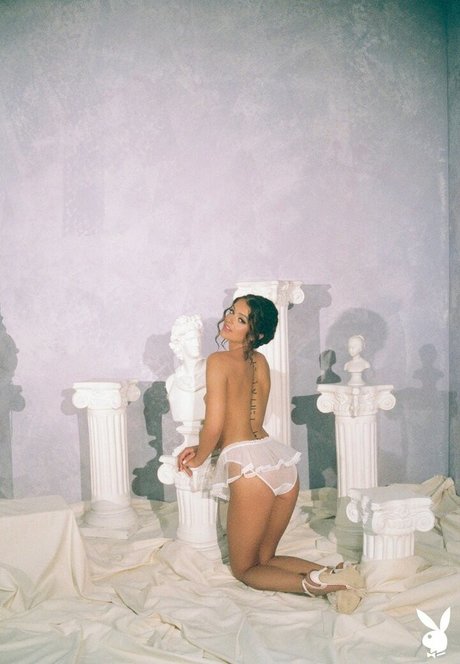 solo fans militares asiáticos perfecto caliente imagen