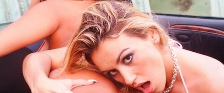 Jennelle Gordon estrella exclusiva galerías