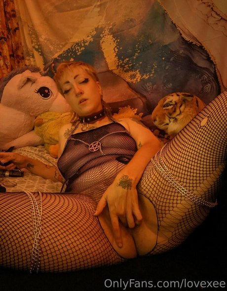 lovexee Fotoaufnahmen