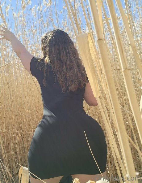 justgyp libre de estrellas imágenes