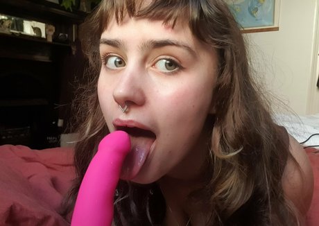 caliamberr modelo hd archivo