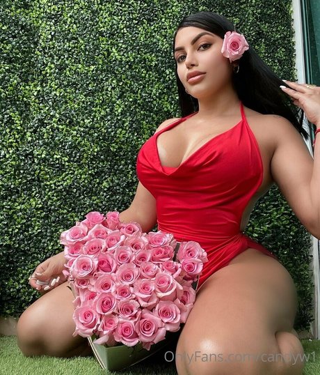 solo fans de tangas adolescentes bastante sexy galería