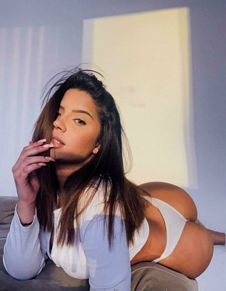 zairesugar estrella perfecta galerías