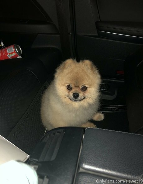 solo fans bisexuales mmf sexy hermosa recopilación