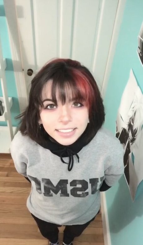 Cultarr estrella adulta imagen