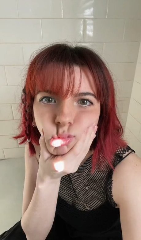 Cultarr estrella adulta imagen