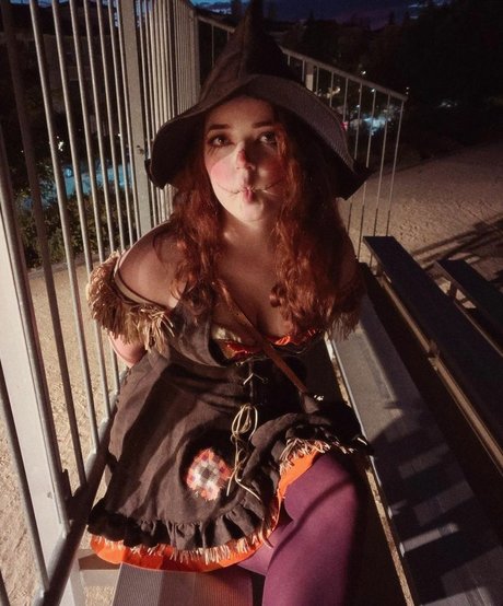 Goodnight Moon estrella bonita galerías