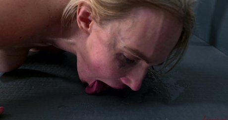 Rebel Rhyder libre de estrellas imágenes