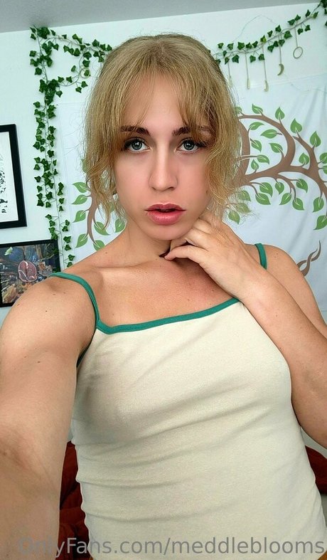 meddleblooms Fotoaufnahmen