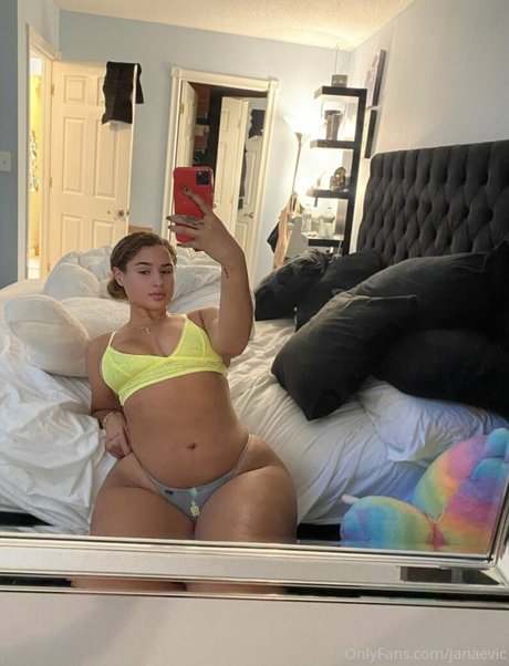 Janaevic modelo galerías