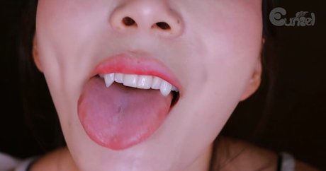 Eunzel ASMR Fotoaufnahmen