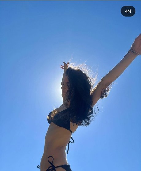 Nobosart modelo libre galería