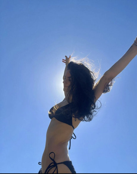 Nobosart mejor modelo archivo