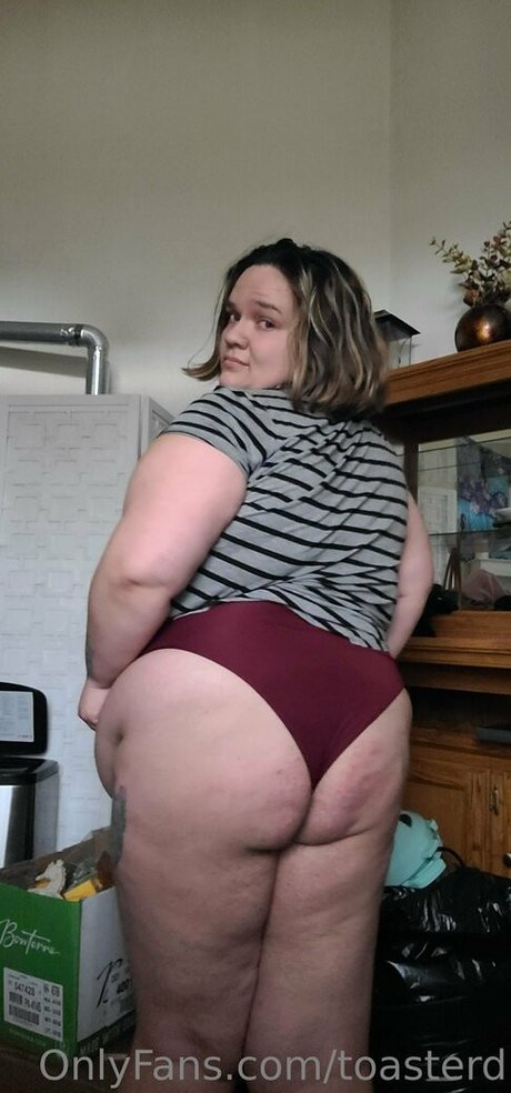 toasterd hermosa estrella recopilación