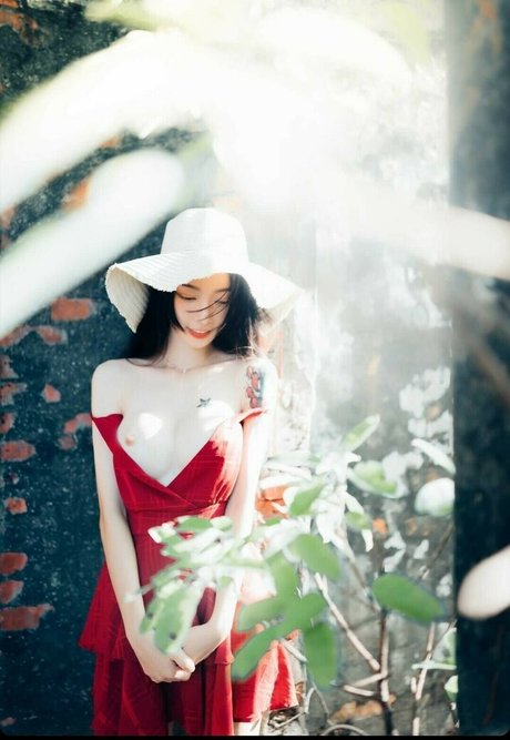 Tsai 919 estrella de alta calidad fotos