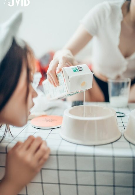 Tsai 919 bonita estrella galería