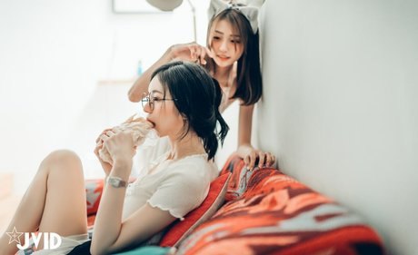 Tsai 919 mejor estrella recopilación