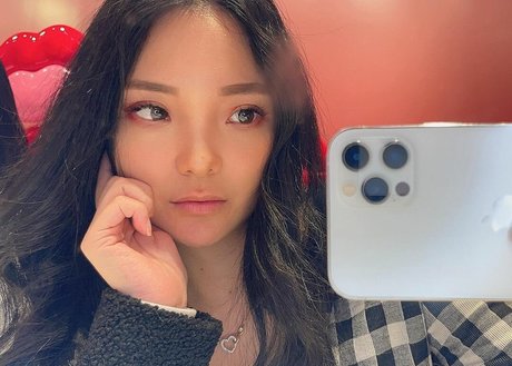 Codemiko modelo superior archivo