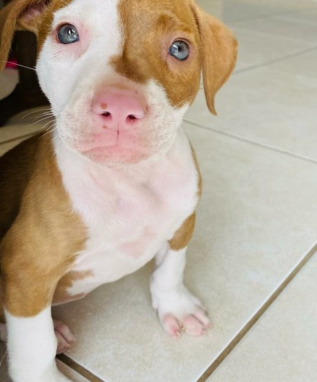 Bianca Novaes actriz de arte fotos