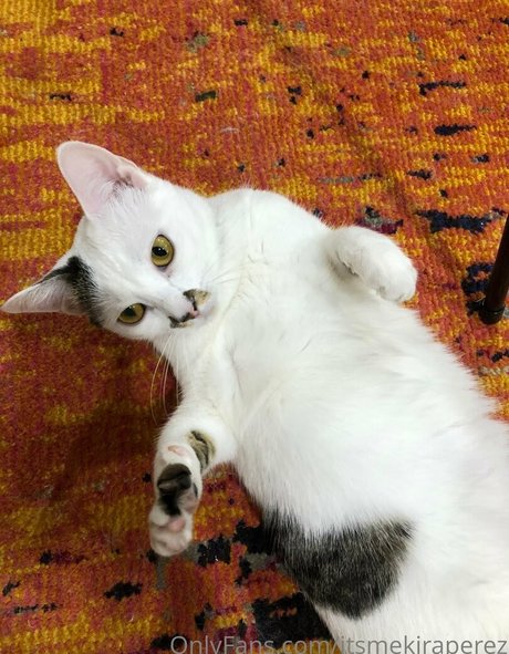 itsmekiraperez actriz adulta imagen