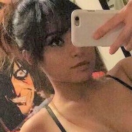 Radpuppy mejor estrella recopilación