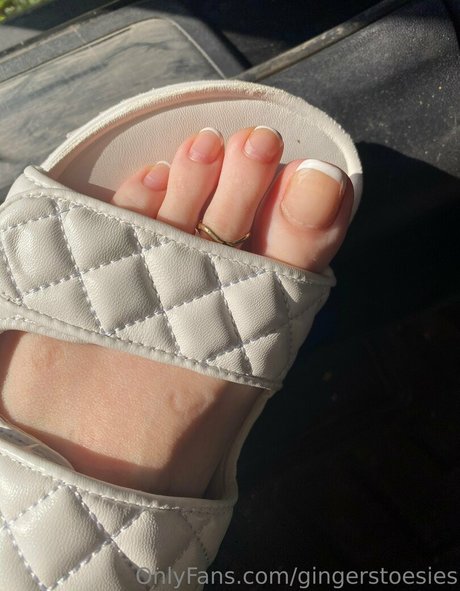 Gingerstoesies desnudos de estrellas porno imágenes