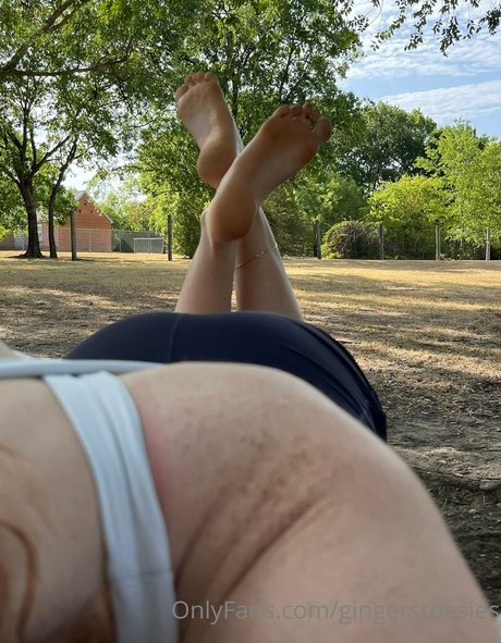 Gingerstoesies estrella hermosa imágenes