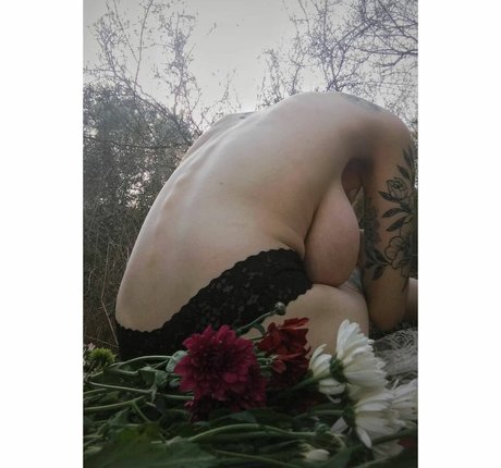 Yasmin avrahami estrella de alta definición galería