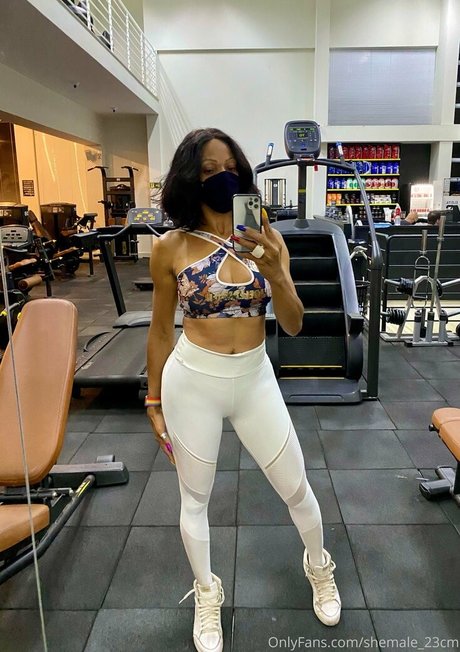 shemale 23cm libre de estrellas galerías