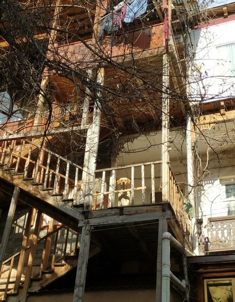 youreyeshere modelo recopilación