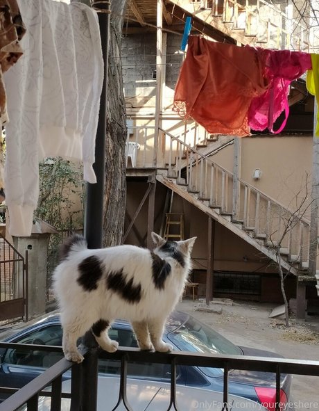 youreyeshere estrella del sexo fotos