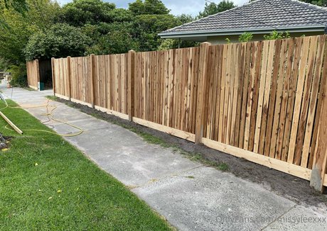 dvpgirlnextdoorxxx estrella del arte archivo