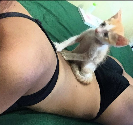 Sas Sy linda estrella recopilación