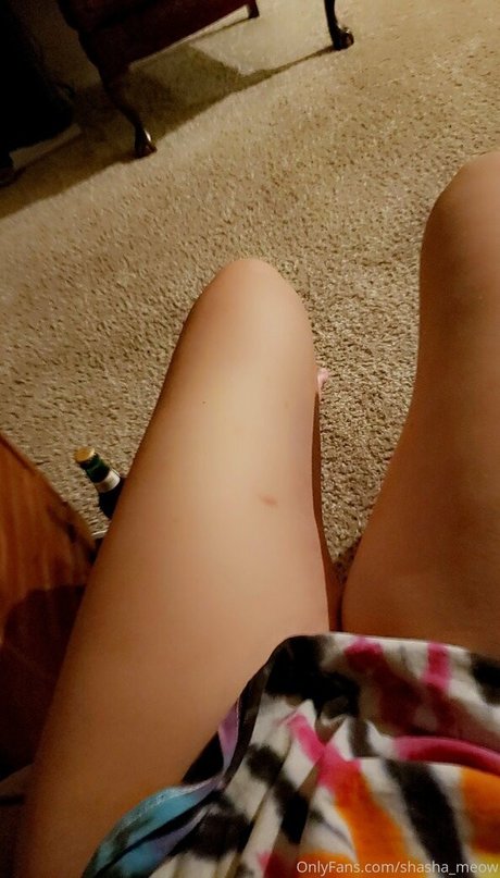 shasha meow arte modelo archivo