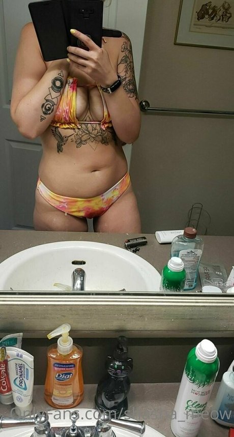 shasha meow estrella galería