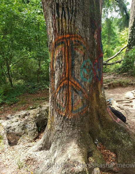 shasha meow estrella de alta calidad archivo